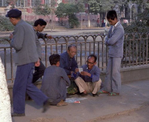 郭京飞宋佳主演的电视剧